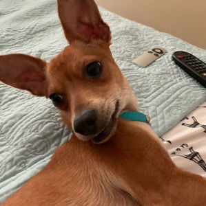 Meet your Posher, Lisa